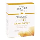Maison Berger Autoduft Nachfüller Aroma Energy